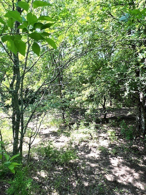 Picture 15