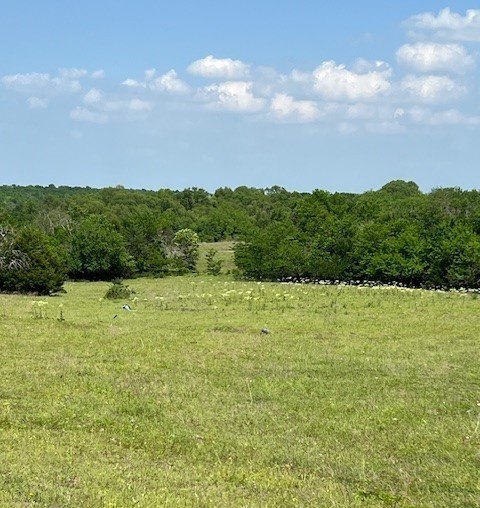 Picture 19