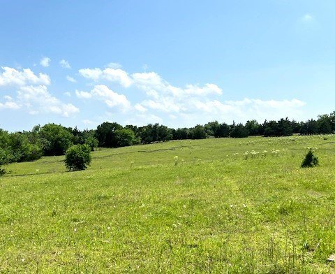 Picture 37