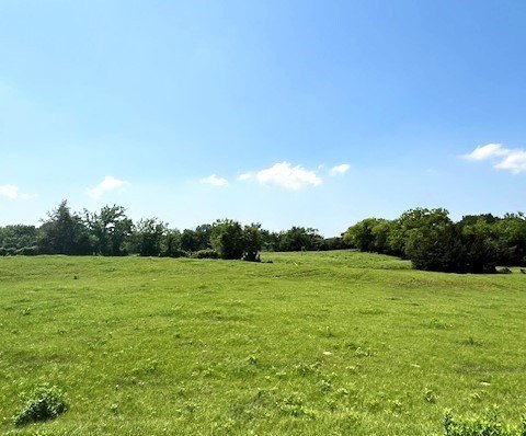 Picture 25