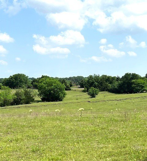 Picture 21