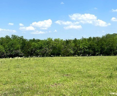 Picture 36