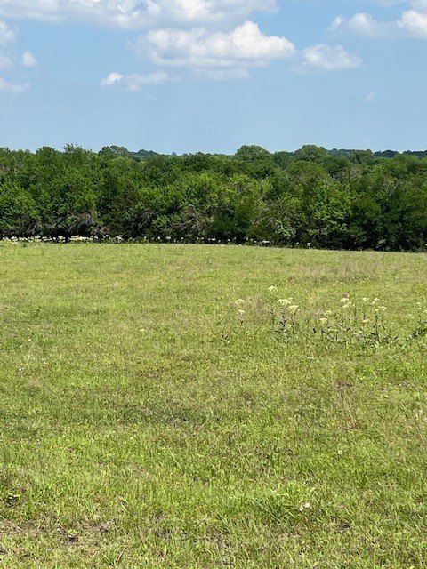 Picture 24