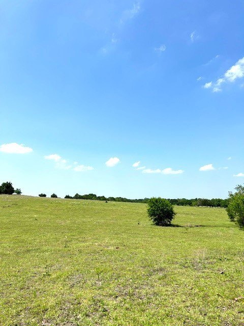 Picture 33
