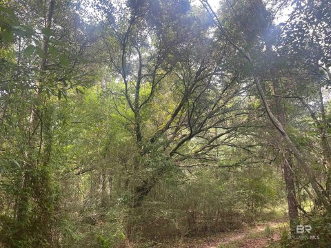 Picturesque Land in Pine Grove