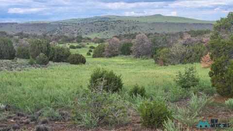 Land, Quemado, NM