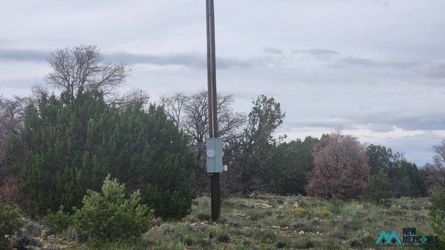 Picture 5