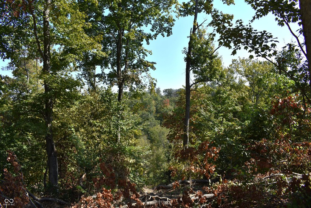 Picture 13