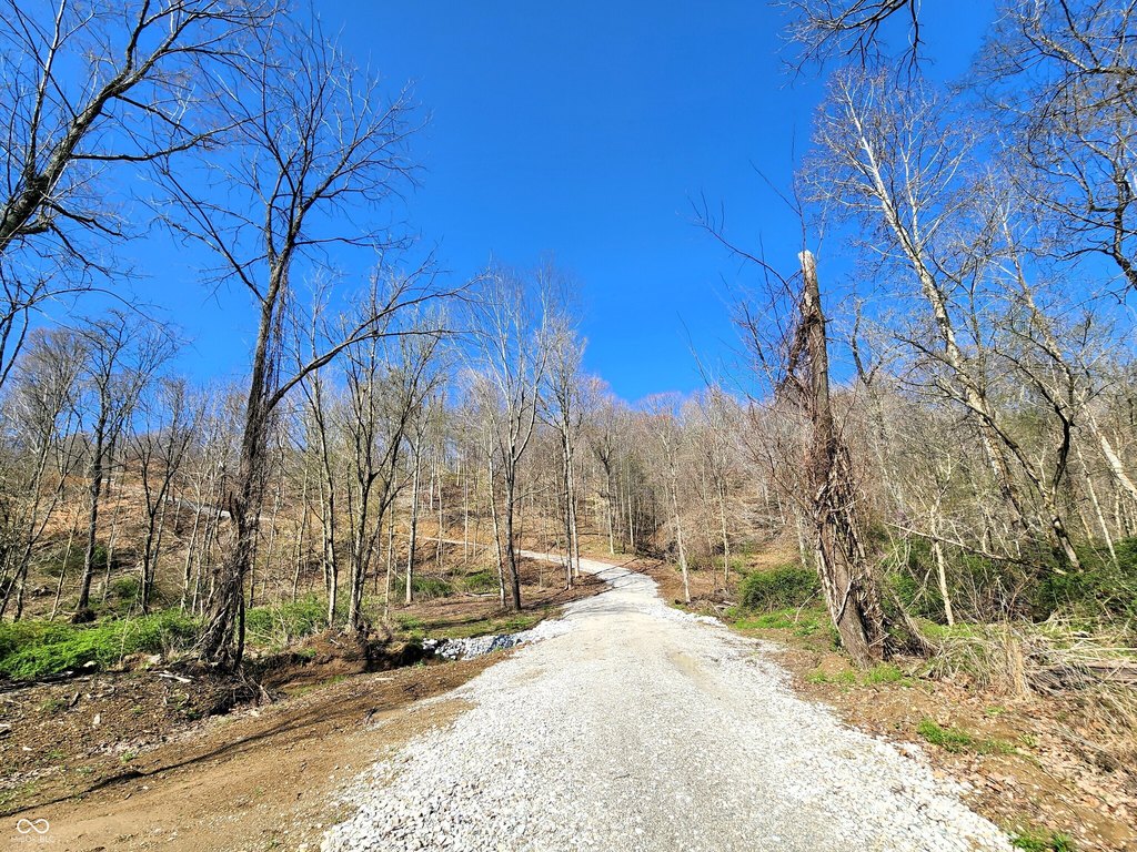 Picture 8