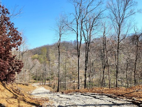 Agricultural Homesite with Woods and Creek