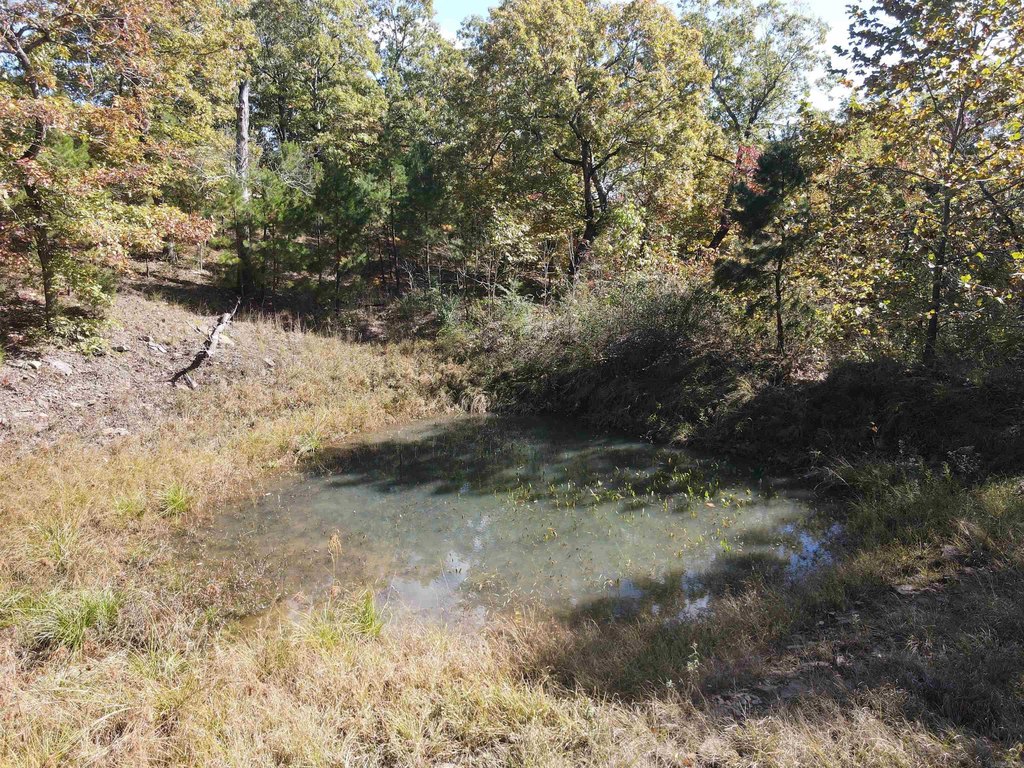 Picture 21