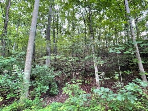 Sevierville, TN Land For Sale
