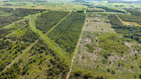 Level Usable Acreage Tract