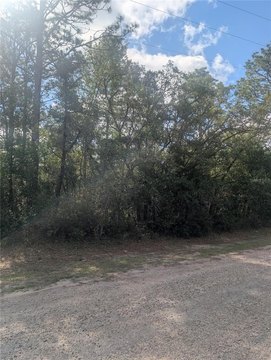 Citrus Springs Homesite Opportunity