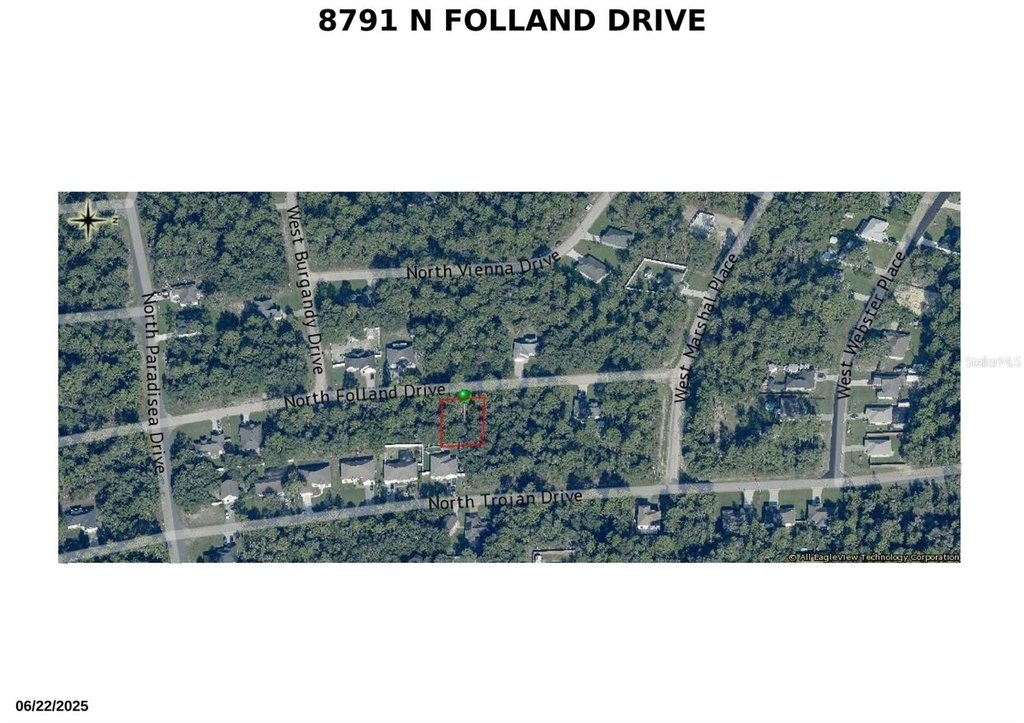 Picture 8