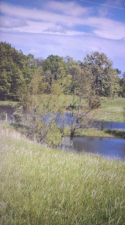 Picture 10