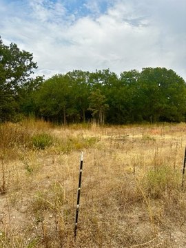 Residential Land in Bridgeport, Texas