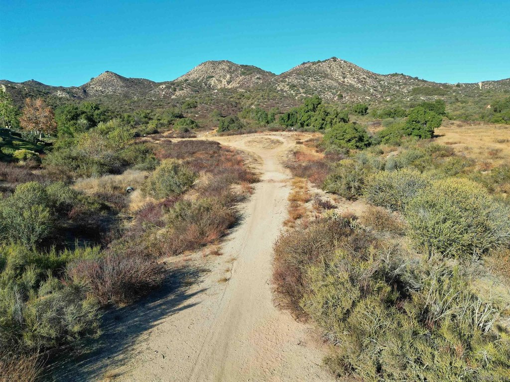 Picture 27