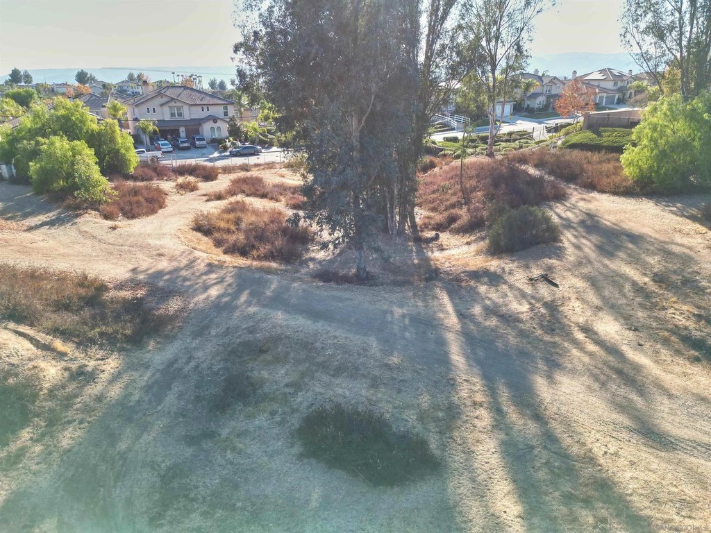 Picture 11