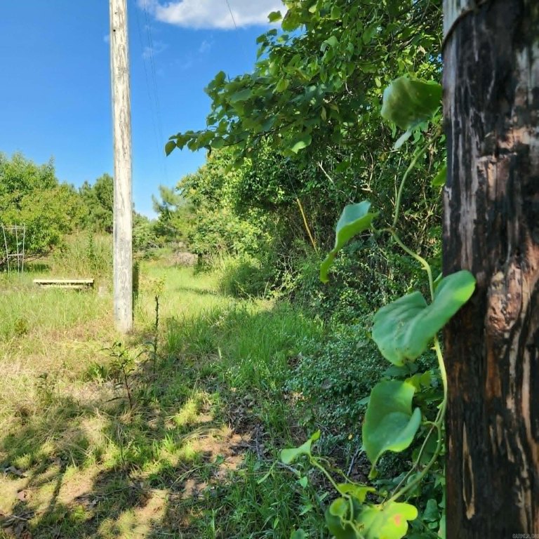 Picture 16