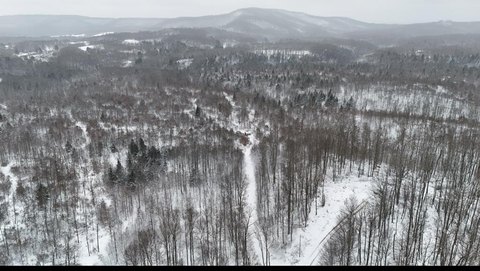 Secluded West Virginia Hunting Paradise