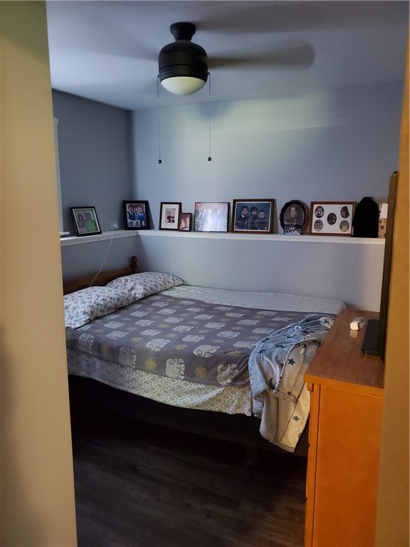 Picture 23
