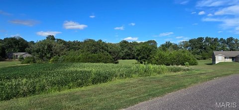 Residential Lot in Clayton Meadows