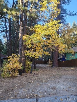 LAND - Big Bear Lake, CA