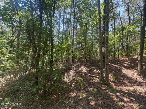 Wooded Lot in Rogers Springs