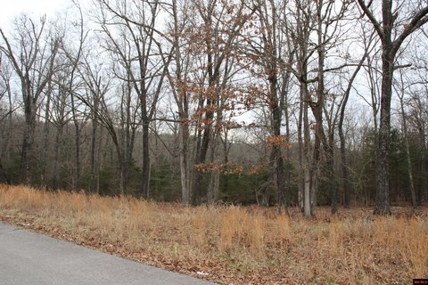 Wooded Lot Near Bull Shoals