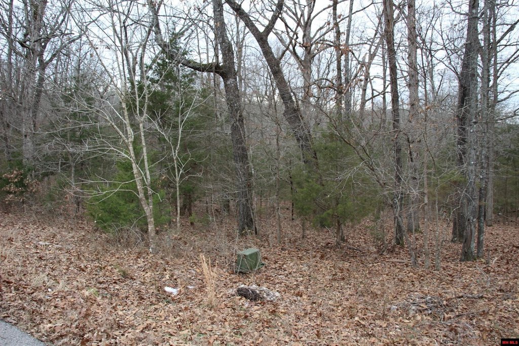 Picture 3