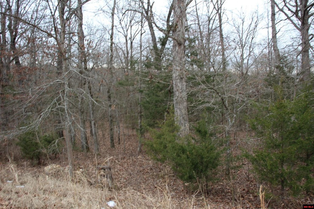 Picture 5