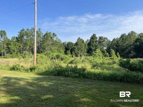 Two Acre Gulf Shores Land