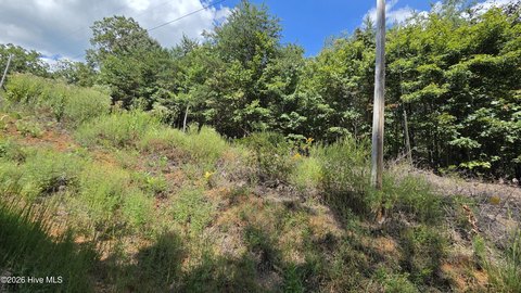 Land, Murphy, NC