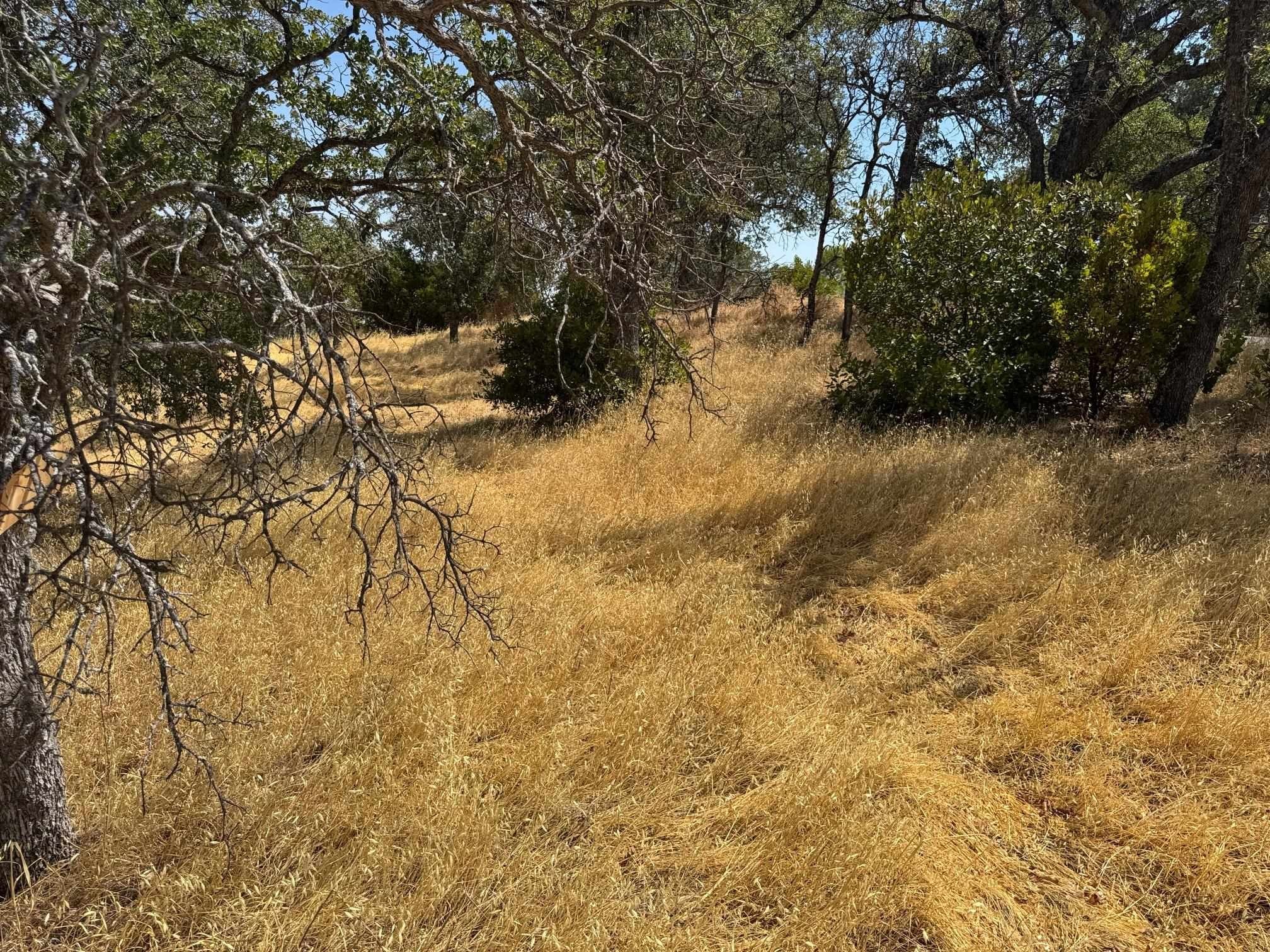 Land in Rancho Tehama Reserve