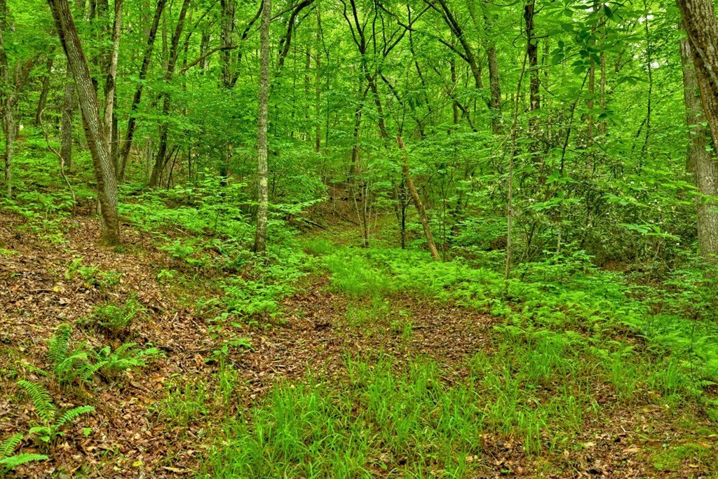 Picture 33