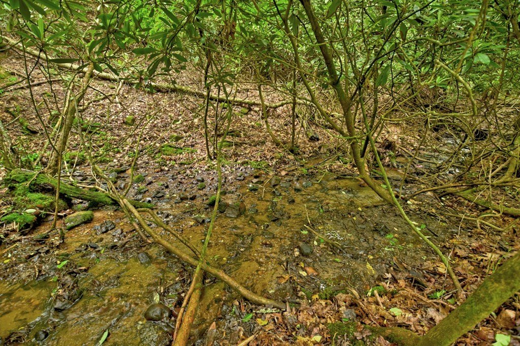 Picture 30