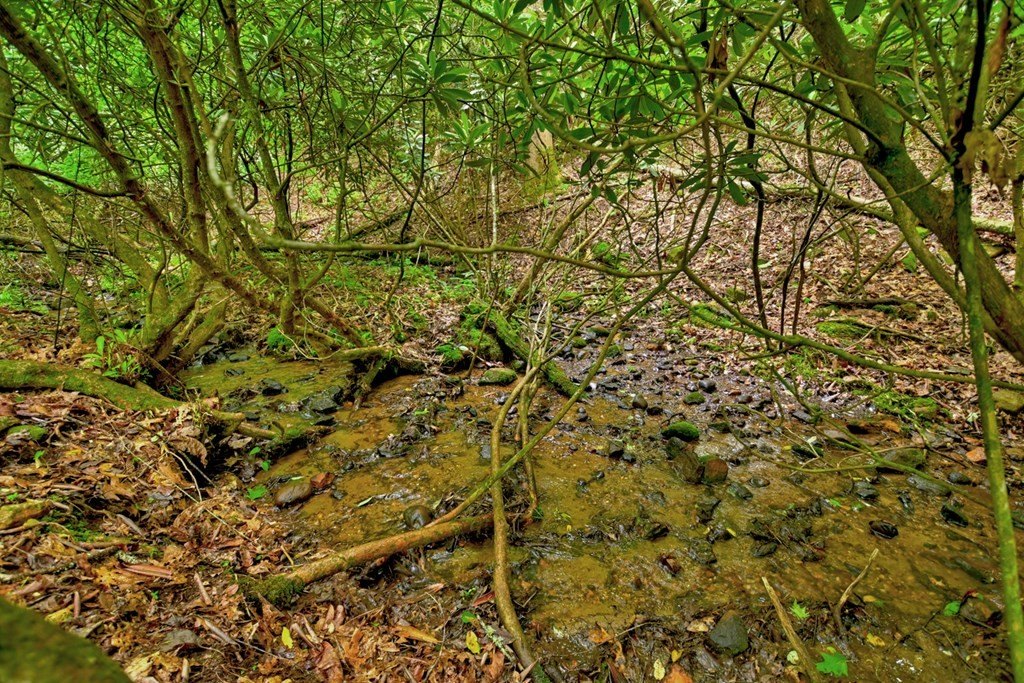 Picture 34