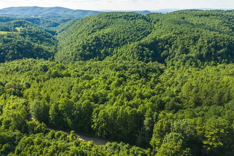 Wooded Recreational Land