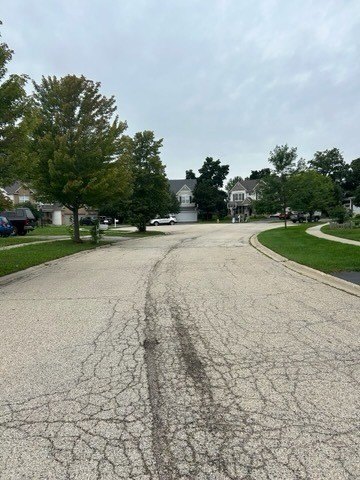 Picture 4