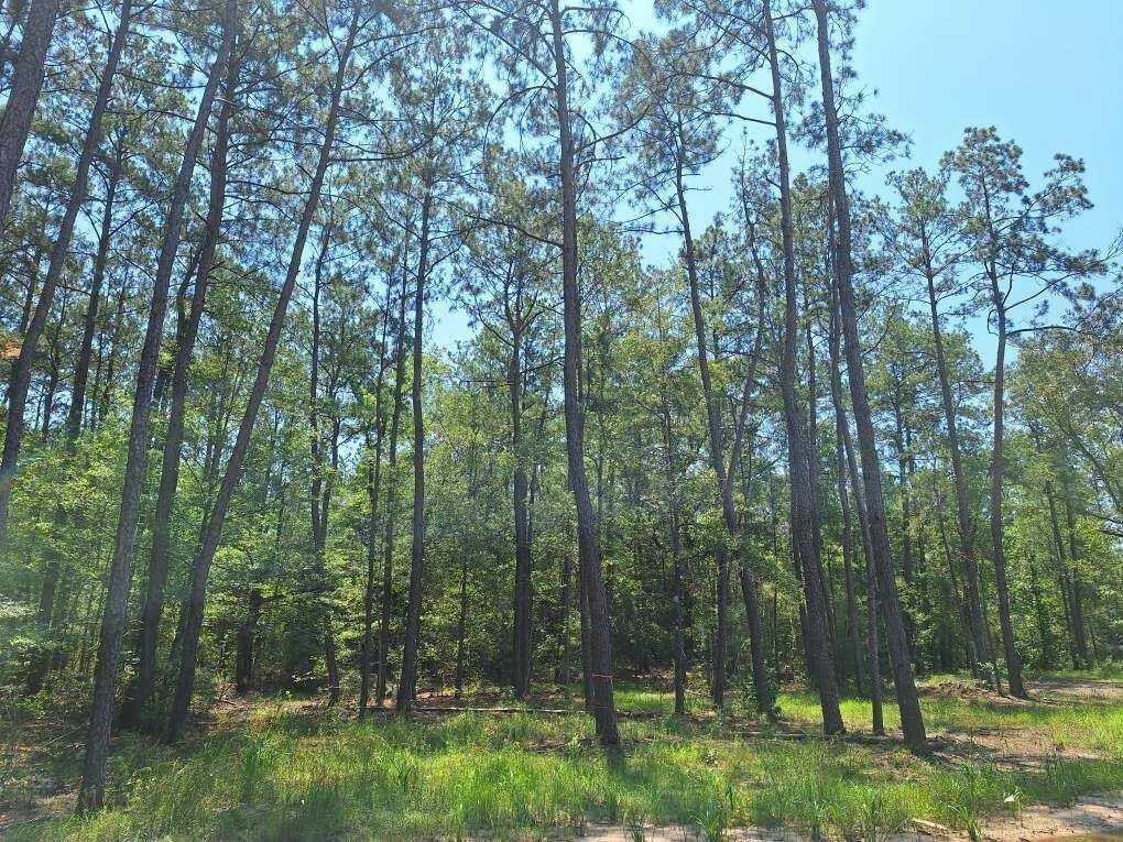 Picture 22