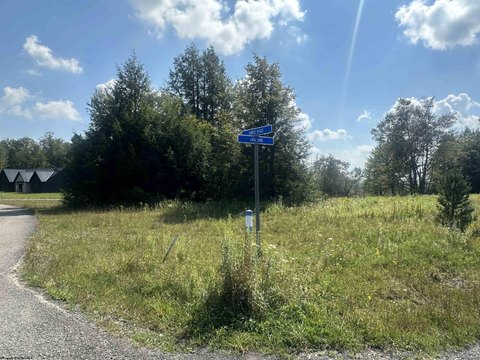 Lots/Land, Davis, WV