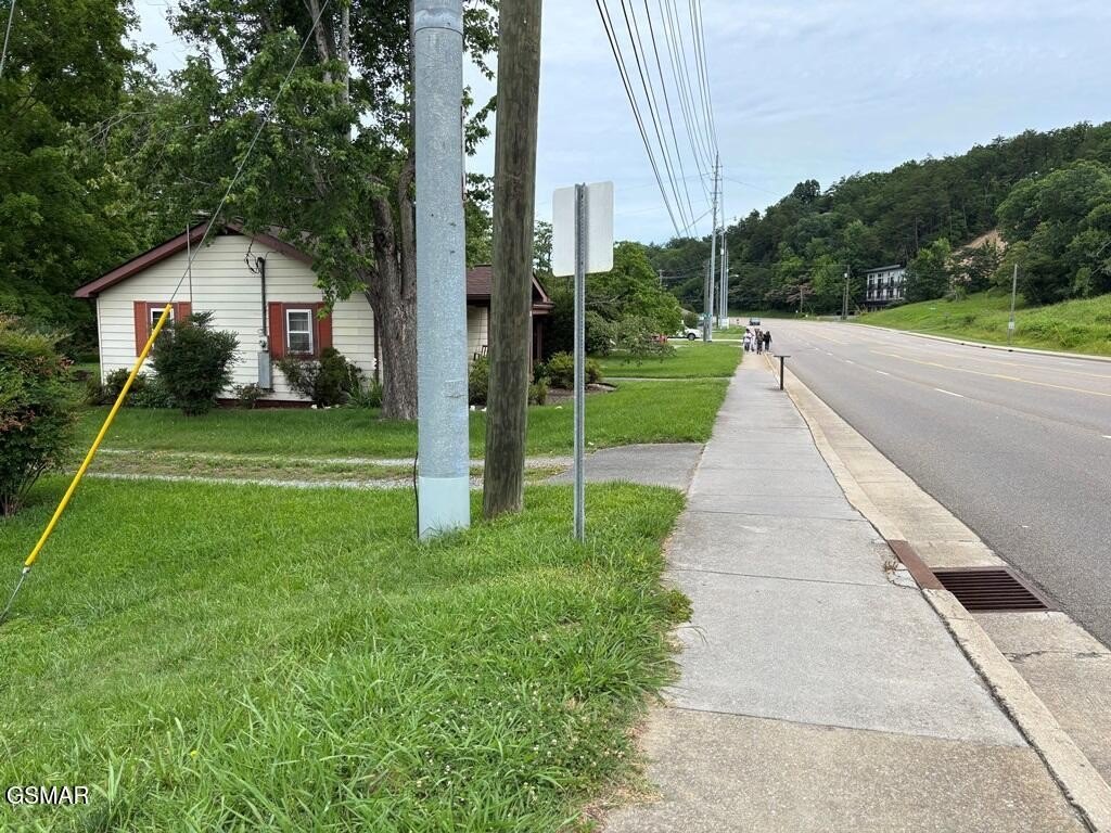 Picture 6