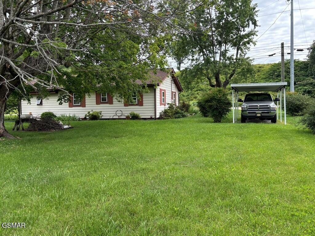 Picture 8