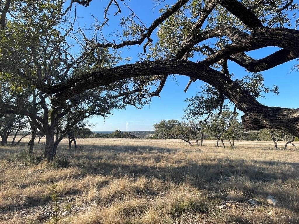 Oak Covered Ag Exempt Land