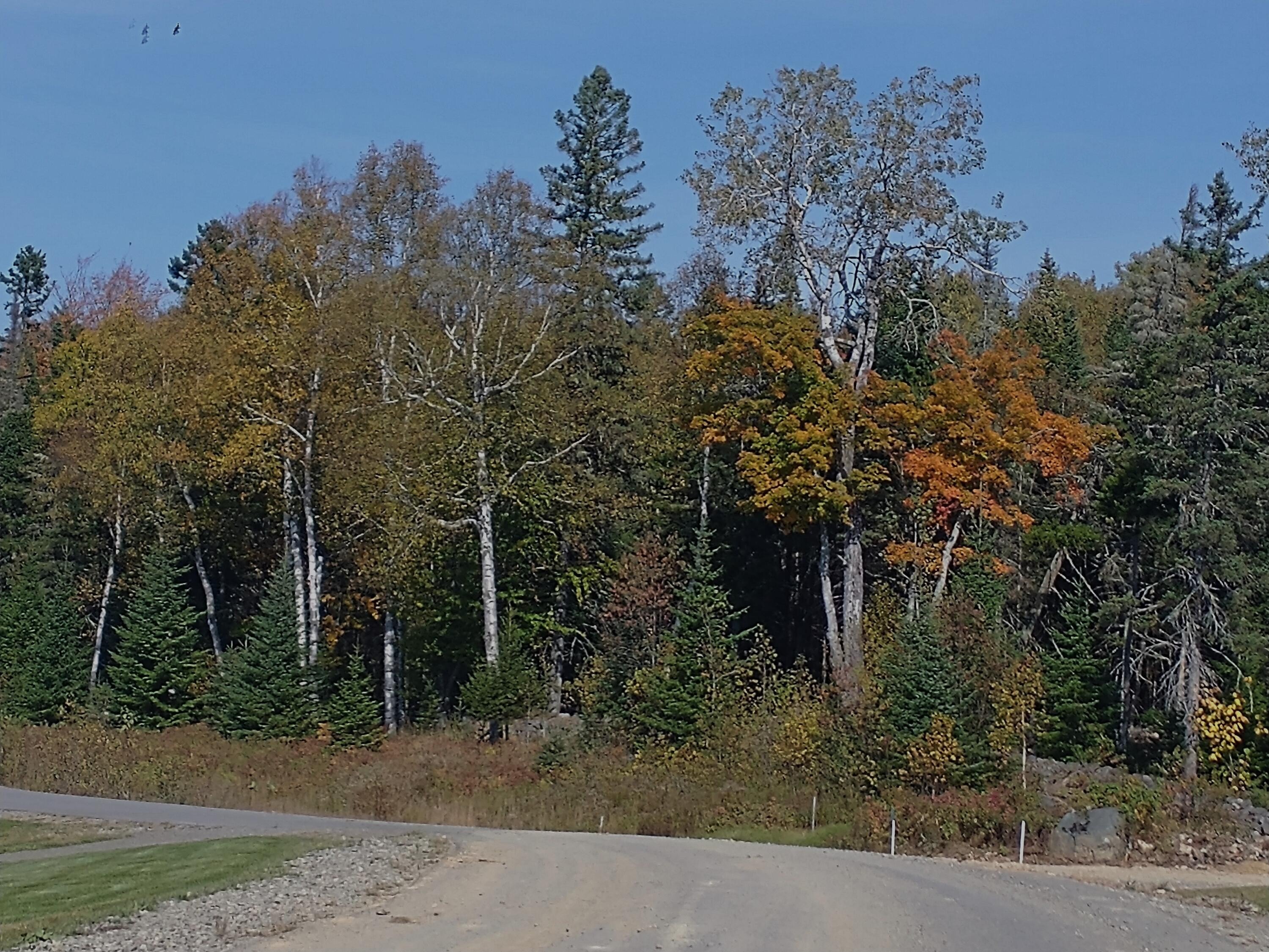 Rangeley Land For Sale
