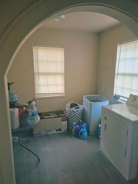 Picture 3