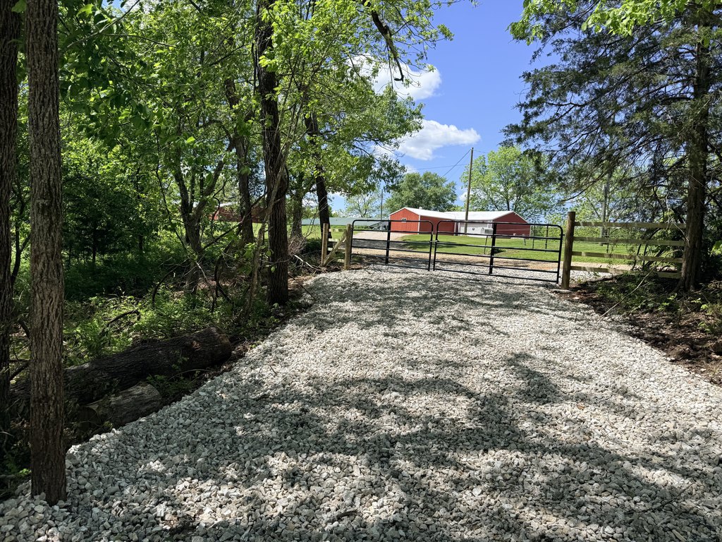Picture 5