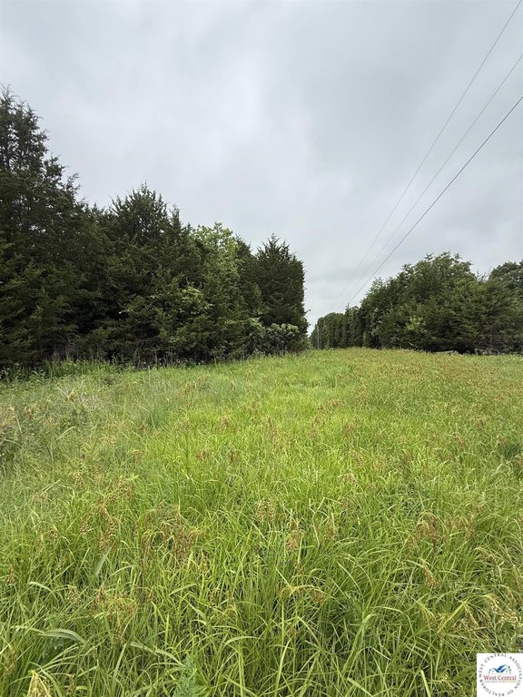 Picture 28