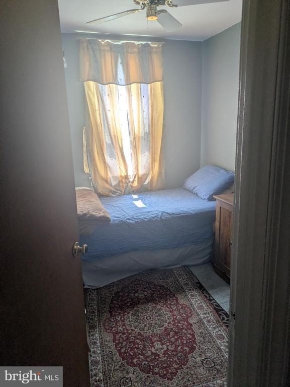 Picture 18